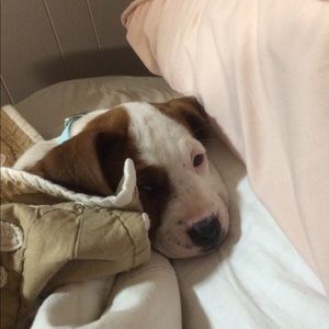 Meet your Posher, Tonya